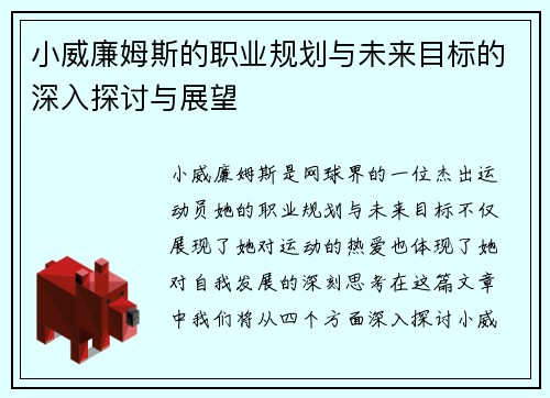 小威廉姆斯的职业规划与未来目标的深入探讨与展望