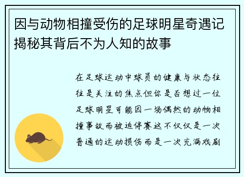 因与动物相撞受伤的足球明星奇遇记揭秘其背后不为人知的故事